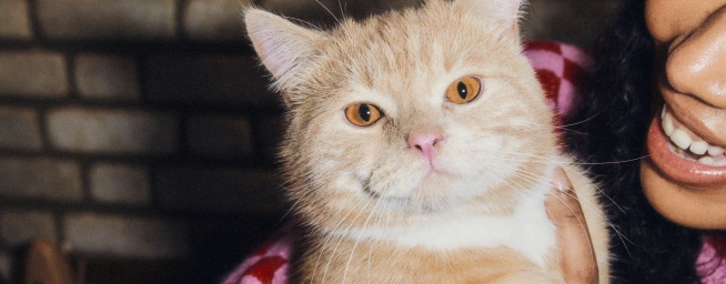 Tell us about your cat