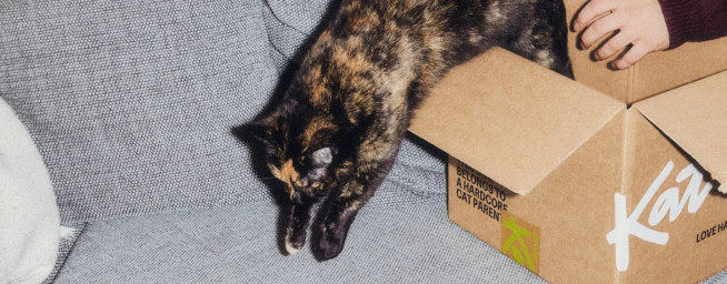 Get excited for delivery