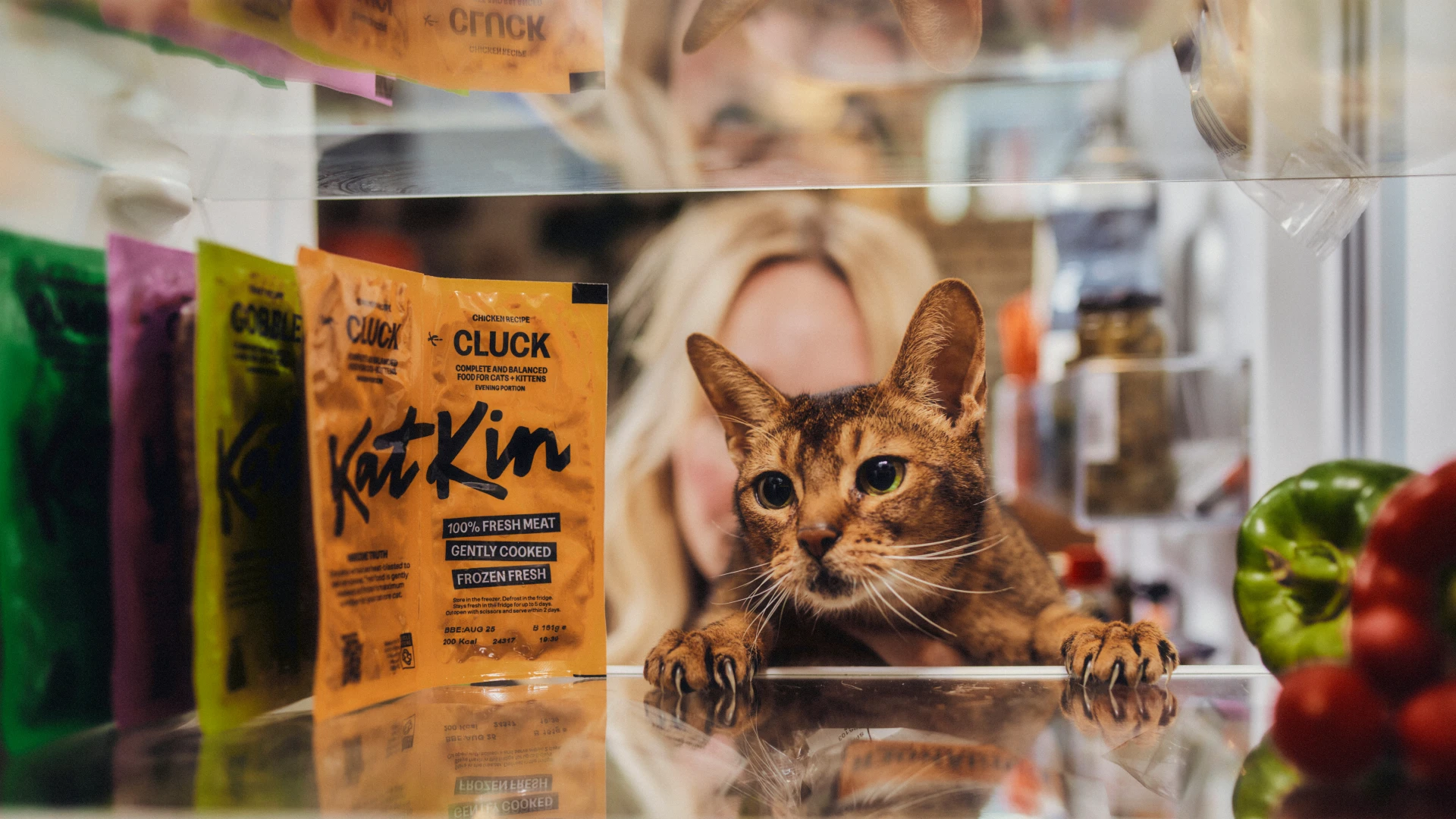 A `happier,` `healthier` cat, ``One fresh meal at a time.