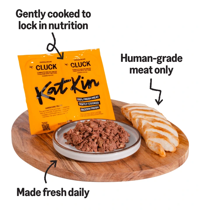 Image of cluck