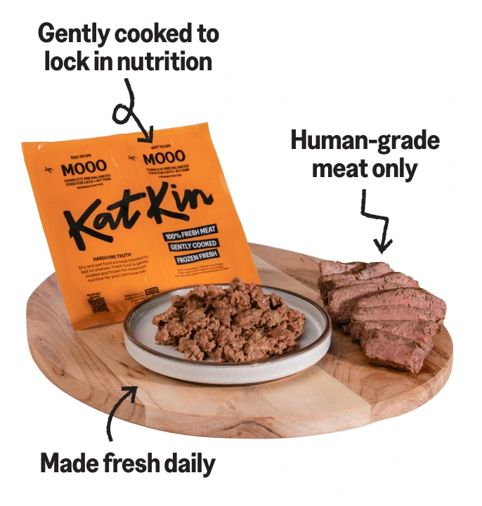 Image of mooo