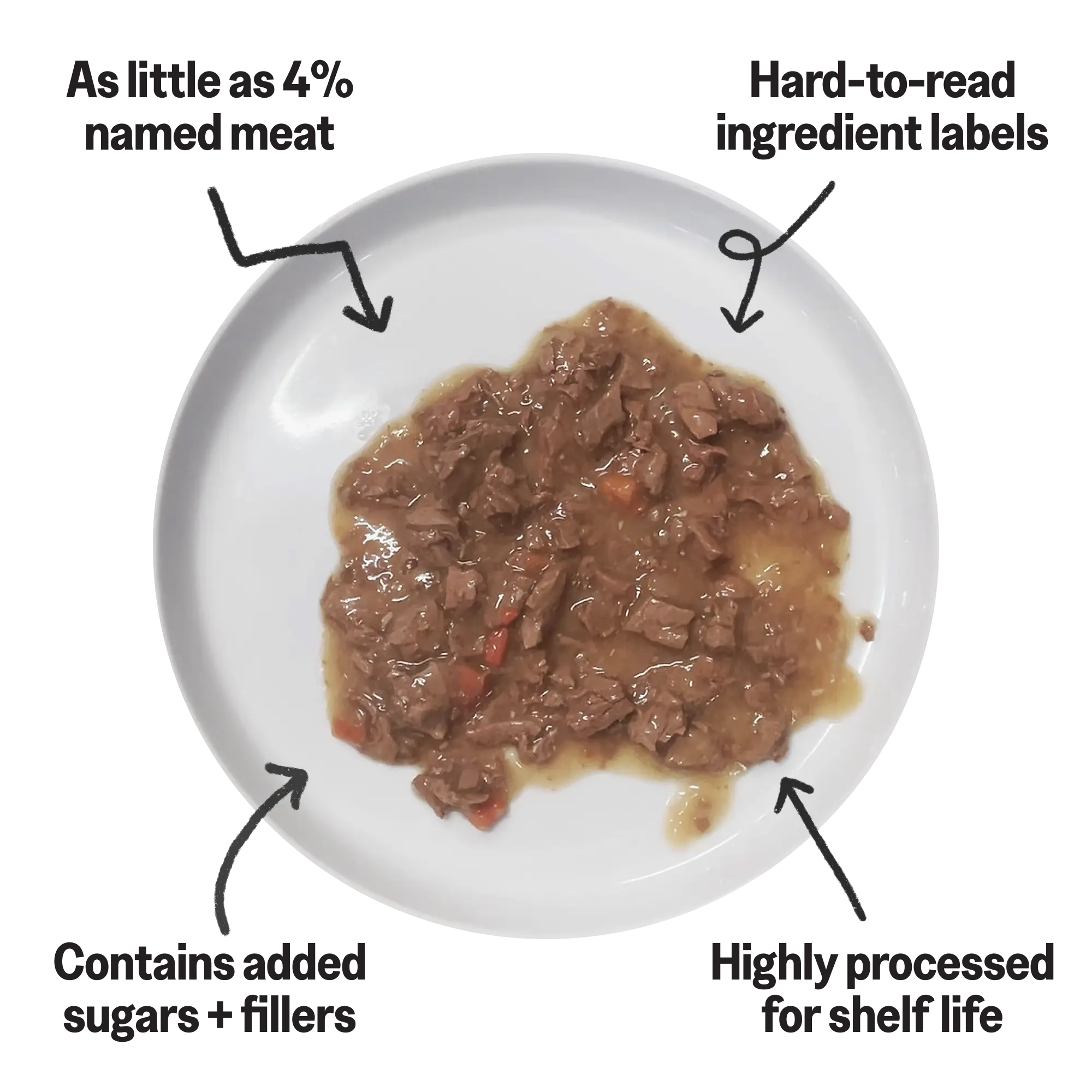 4 things every cat parent should know about cat food