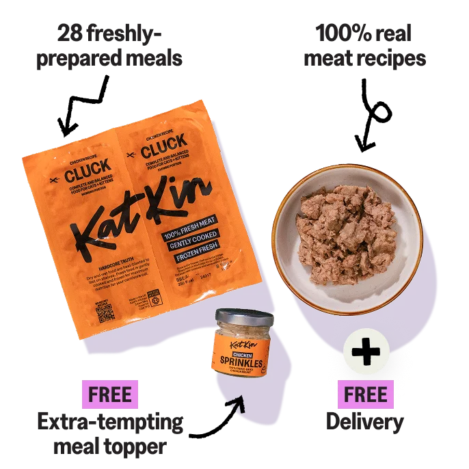 Take A 14-day TRIAL - here's what we promise