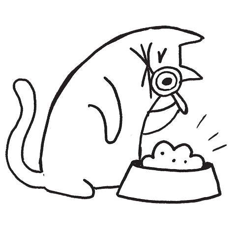 Tell us about your cat