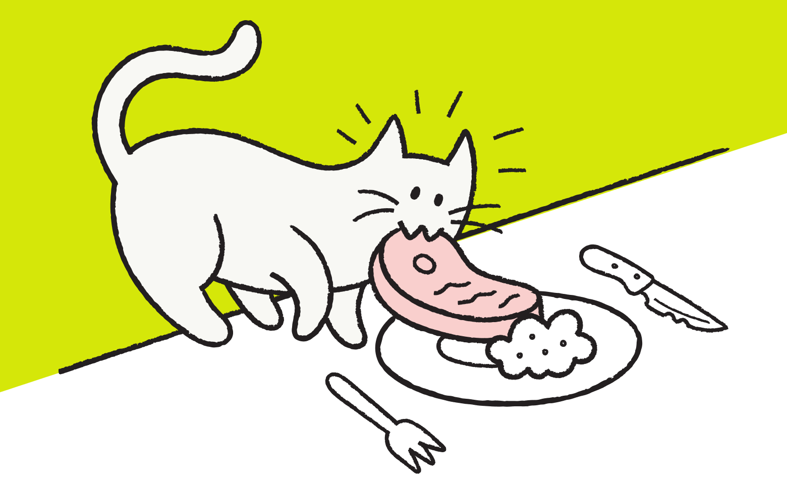 Cat eating off plate