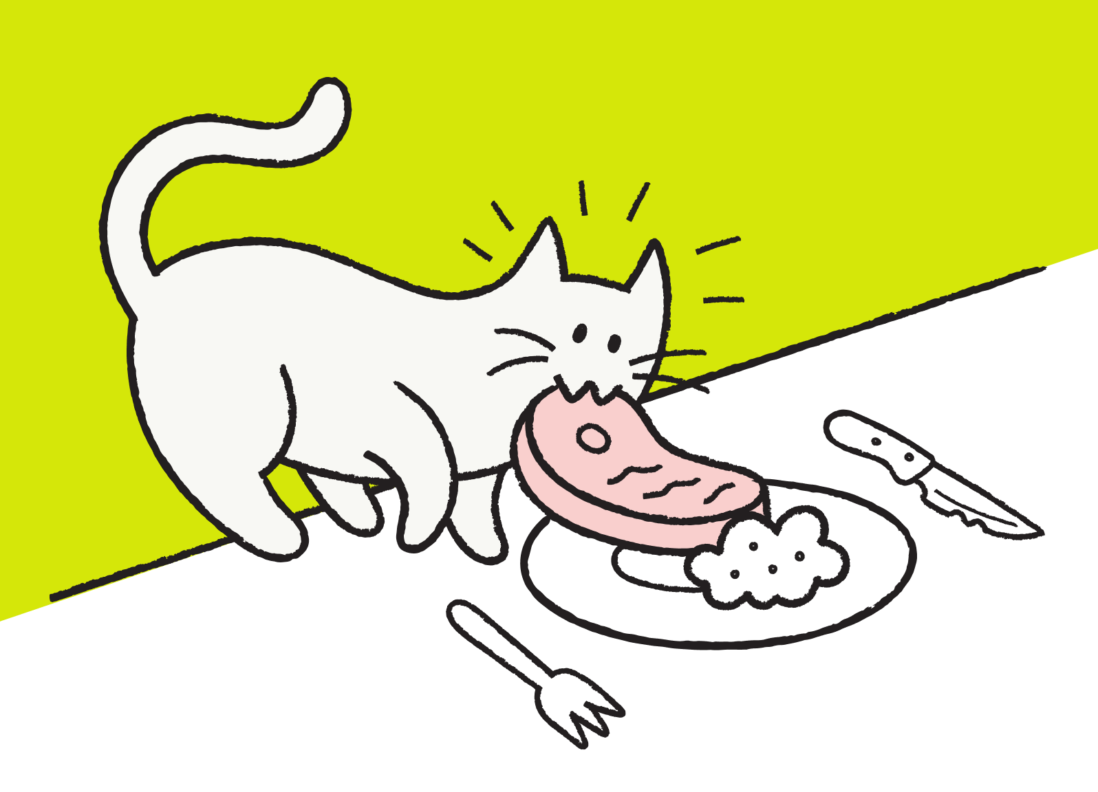 Cat eating off plate