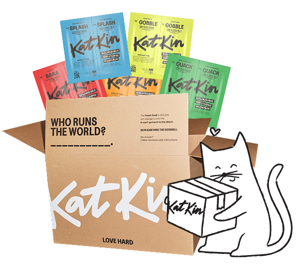 KatKin trial box