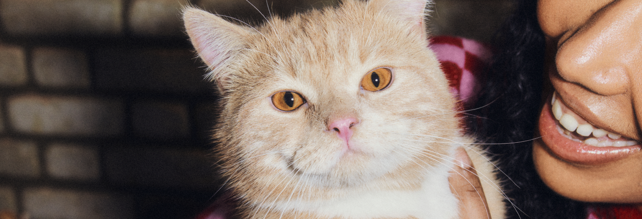 Tell us about your cat