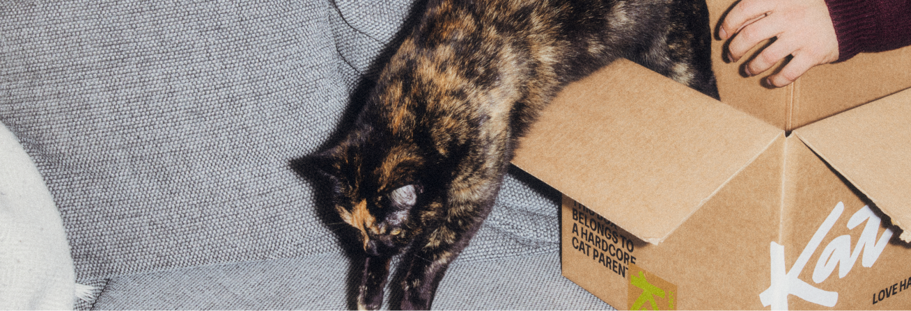 Get excited for delivery