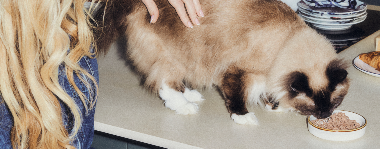 See benefits in no time