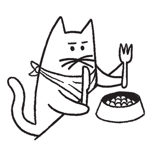 Start feeding KatKin