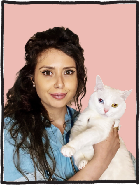 Dr. Patricia Pimenta