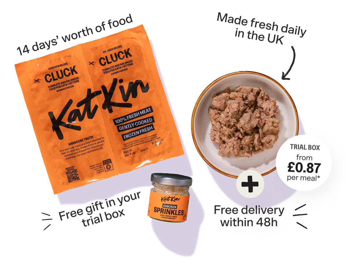 KatKin fresh cat food with free gift and free delivery