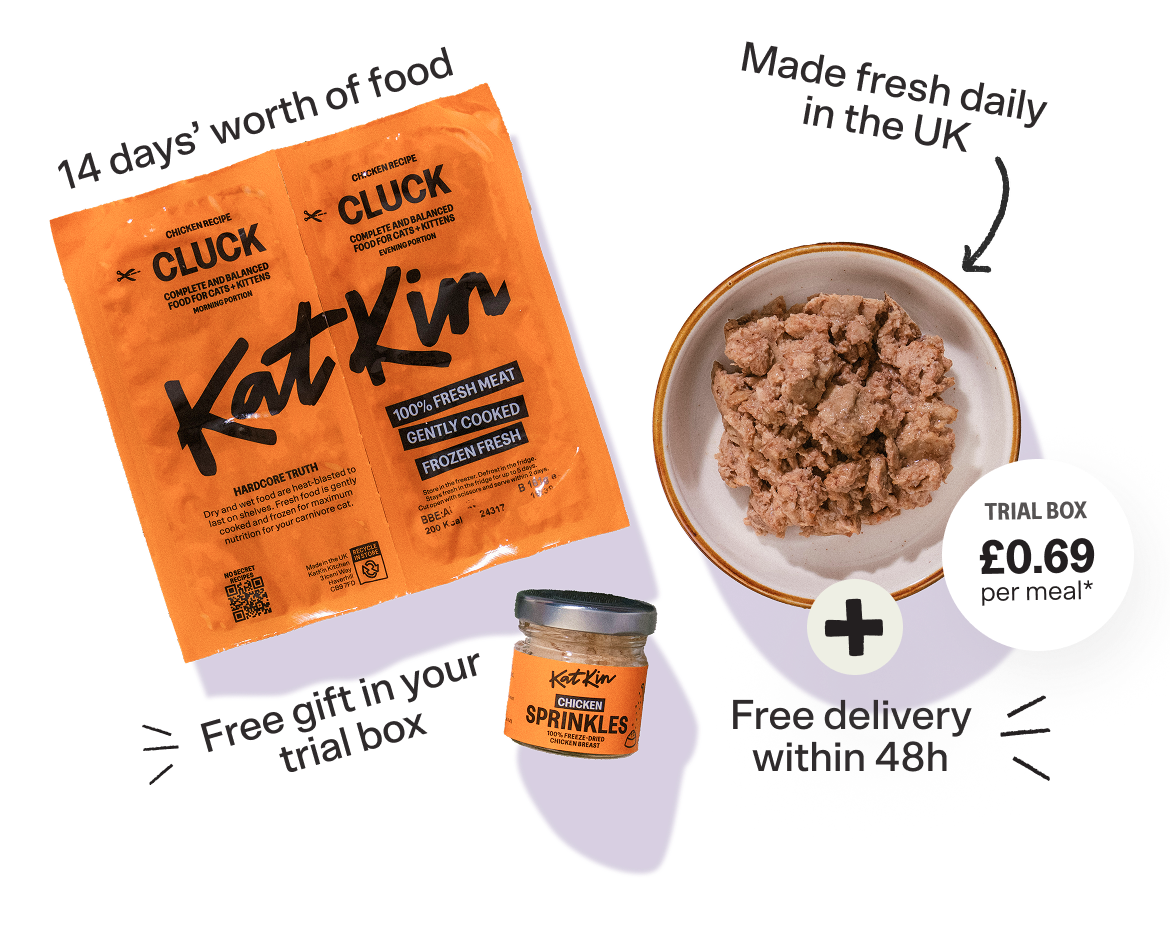 KatKin fresh cat food trial box