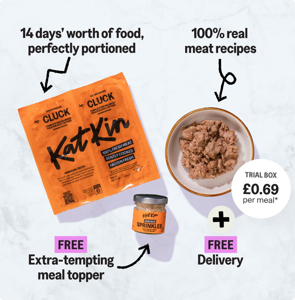 KatKin trial box contents