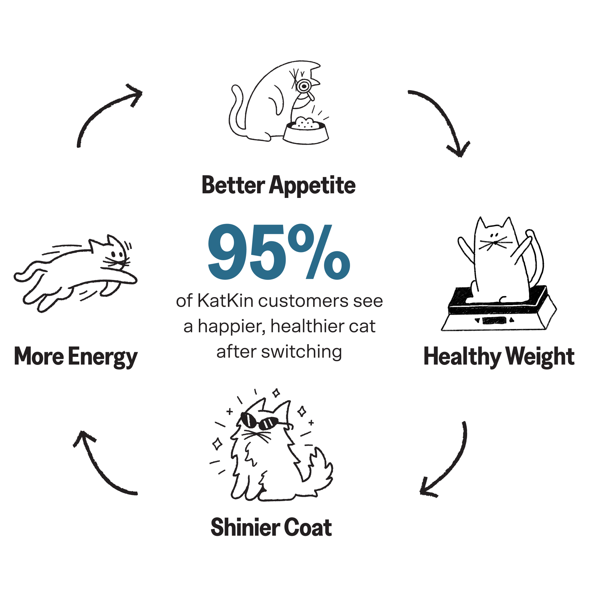 95% of KatKin customers see improvements - Better Appetite, More Energy, Shinier Coat, Healthy Weight