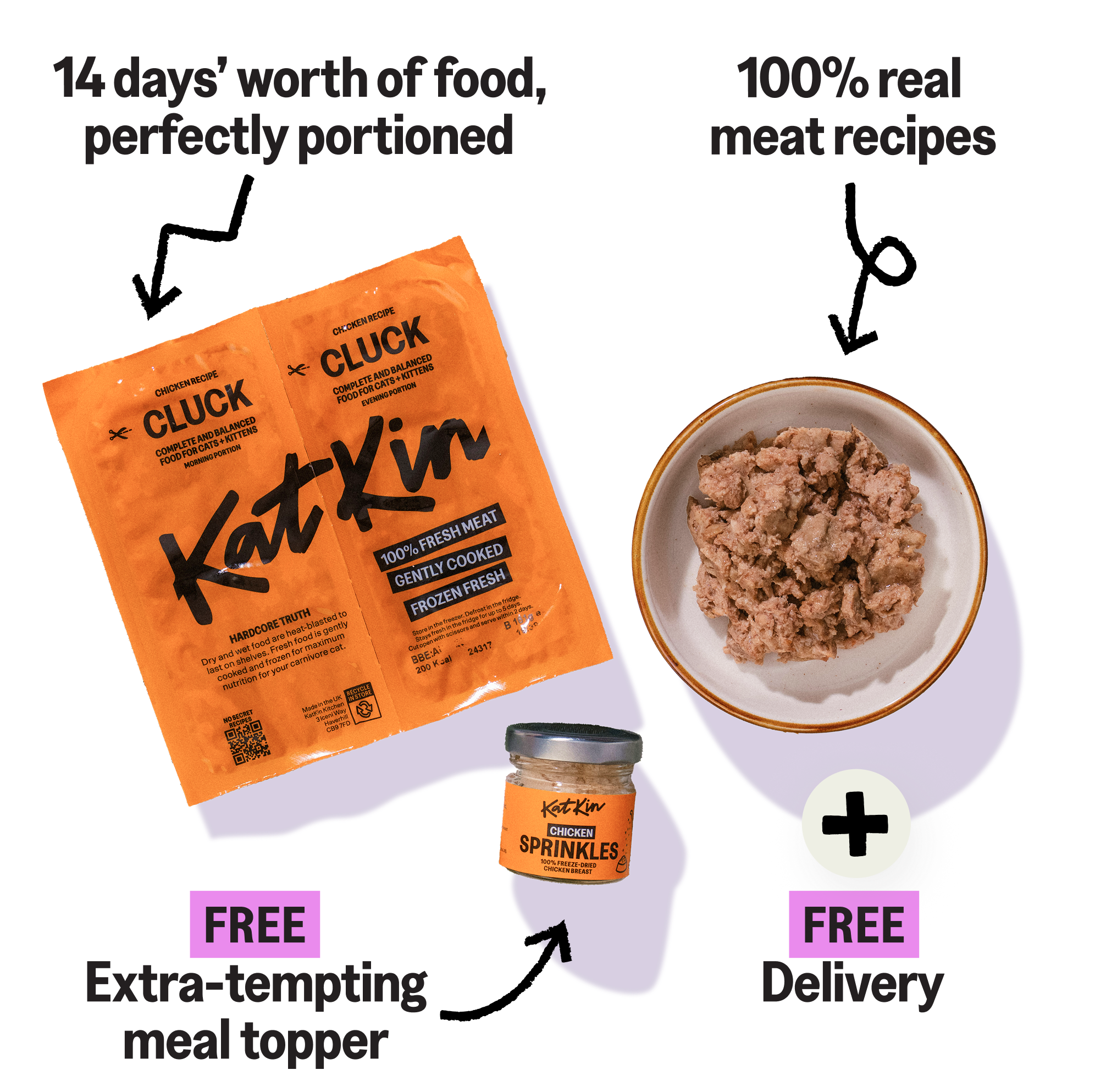 KatKin senior cat starter pack trial box - best wet food for older cats